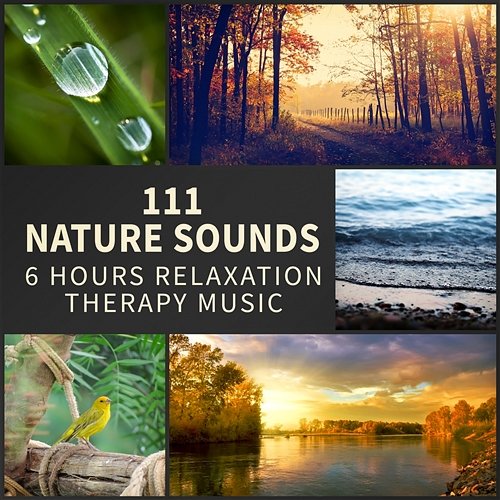 111 Nature Sounds: Over 6 Hours Relaxation Therapy Music for Sleep, Meditation, Massage and Study (Rain, Thundesrtorm, Ocean, Birds, Wind, Crickets & Bells) Various Artists