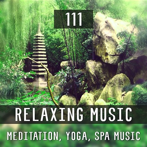 111 Relaxing Music: Meditation, Yoga, Spa Music, White Noise Waves Sounds, Calming Healing Music Relaxing Zen Music Therapy