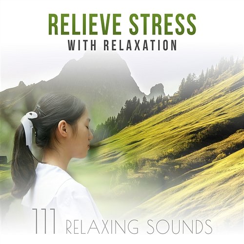111 Relaxing Sounds: Relieve Stress with Relaxation, Calm Background Ambience to Mindfulness Meditation, Practice Yoga & Sleep Well Anti Stress Music Zone