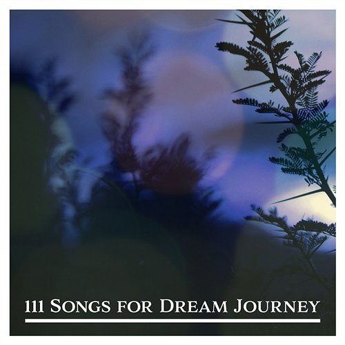 111 Songs for Dream Journey: Fall Asleep with Nature, Music for Sleep & Yoga and Meditation, Blissful Rest, Nature's Sounds, Positive Power, Harmony Balance, Tranquil Oasis Calm Nature Oasis