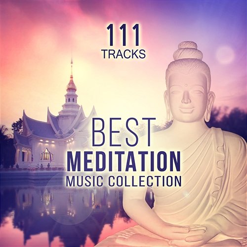 111 Tracks: Best Meditation Music Collection - Serenity Nature Sounds (Springwater, Birds & Gentle Rain) Yoga, Relaxing Instrumental Songs and Transcendental Meditation Mantras for Zen Garden Various Artists