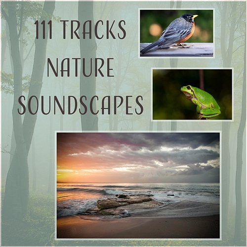 111 Tracks Nature Soundscapes: Healing Therapy Music - Relaxing Rain, Sounds of Birds, Ocean Waves, Calm Sea and Waterfall, Zen Music, Animals Sounds (Forest, Frogs, Cricket) Various Artists