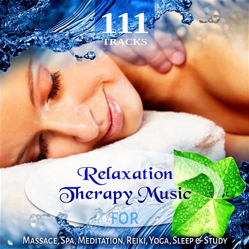 111 Tracks: Over Five Hours Relaxation Therapy Music for Massage, Spa, Meditation, Reiki, Yoga, Sleep and Study, Zen New Age & Healing Nature Sounds Various Artists