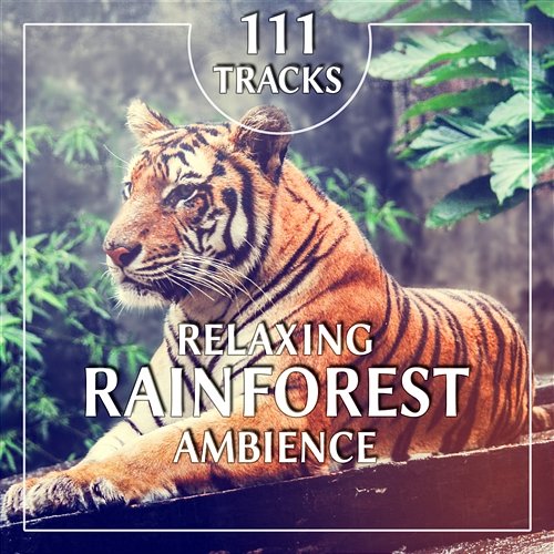 111 Tracks: Relaxing Rainforest Ambience, Powerful Sounds of Nature, Deep Healing Elements, Soothing Music to Relaxation, Yoga, Stress Relief, Meditation, Reiki and Sleep Natural Sounds Music Academy
