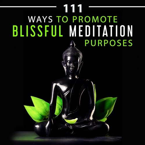 111 Ways to Promote Blissful Meditation Purposes: The Best Relaxing Ambient Music Zen Therapy to Find Your Inner Peace & Harmony of Senses Mindfulness Meditation Music Spa Maestro