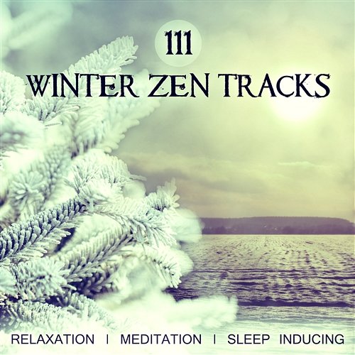 111 Winter Zen Tracks - Relaxation, Meditation, Sleep Inducing, Take Deep Breath with Soothing and Relaxing Music, Blissful Sounds of Nature to Be Calm and to Reach Inner Peace (Yoga Anti Stress) Various Artists