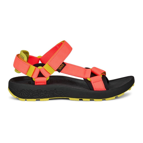 1150270NCL Teva