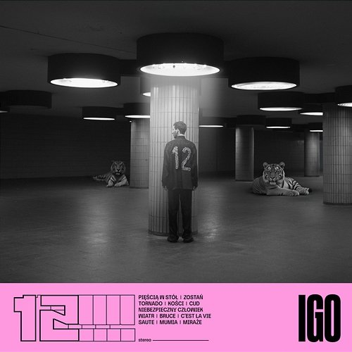 12 Igo