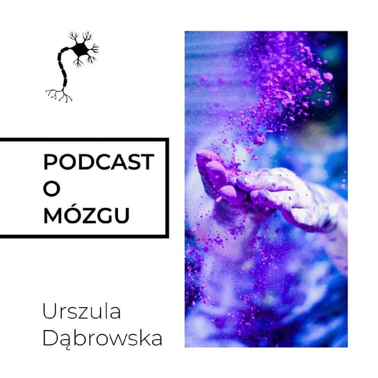#12 Neuroplastyczność Wymiata - Podcast o mózgu - podcast Dąbrowska Urszula