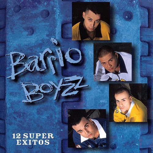 12 Super Exitos Barrio Boyzz