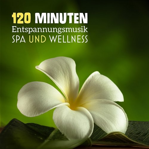 120 Minuten Entspannungsmusik: Spa und Wellness, Naturgeräusche für Heilmassage, Entspannungszeit, Reiki Heilung Verschiedene Interpreten