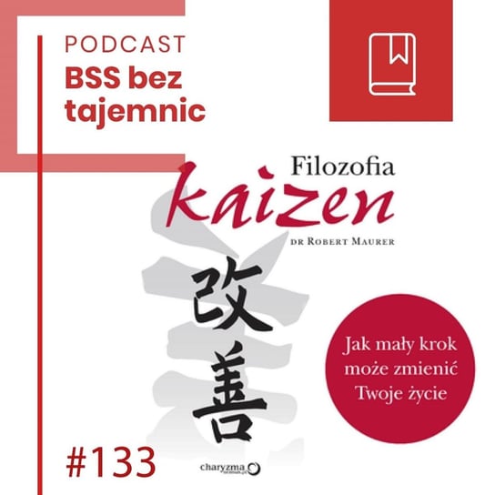 #133 Filozofia Kaizen - BSS bez tajemnic - podcast Doktór Wiktor