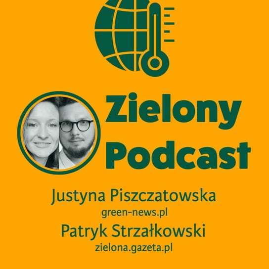 #14 Co nas czeka w 2022 roku w Polsce i na świecie? Justyna Piszczatowska, green-news.pl i Patryk Strzałkowski, zielona.gazeta.pl - Zielony - podcast Rzyman Krzysztof