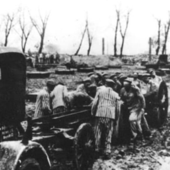 #14 Głód i niewolnicza praca więźniów Auschwitz - O Auschwitz - podcast Muzeum Auschwitz