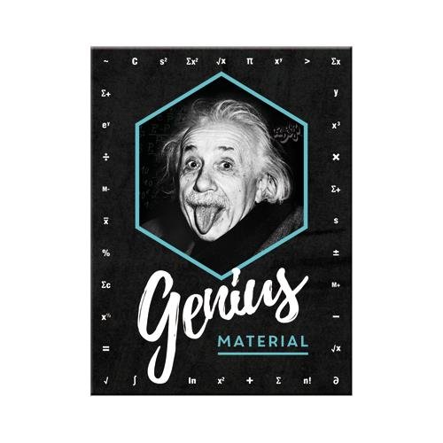 14395 Magnes Einstein Genius Material Nostalgic-Art Merchandising