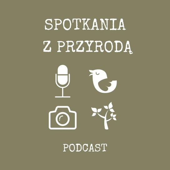 #15 fotograf Robert Kozak i Królestwo Grzybów - Spotkania z przyrodą - podcast Stanecki Michał