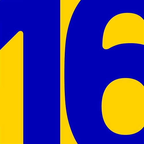 16 Equal Idiots