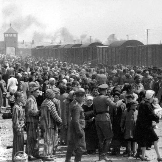#16 Badania dotyczące liczby ofiar obozu - Auschwitz Muzeum - podcast Muzeum Auschwitz