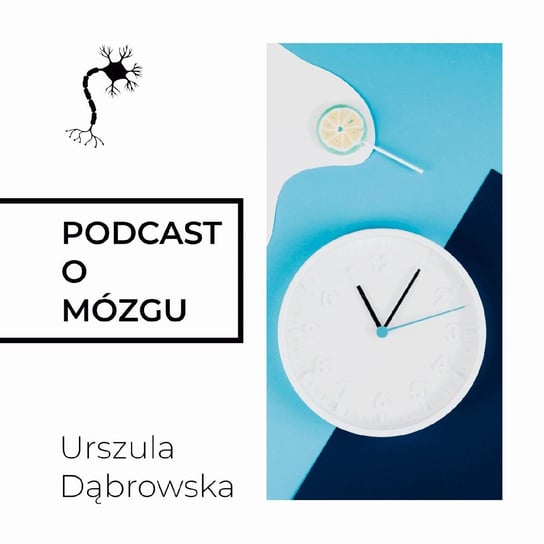 #16 Czas (w) Mózgu - Podcast o mózgu - podcast Dąbrowska Urszula