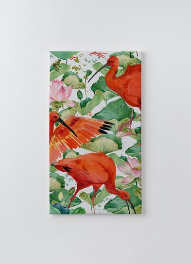 Obraz Na P tnie HOMEPRINT Ibis Szkar atny Ibis Czerwony Ptak obraz-na-p-tnie-homeprint-ibis-szkar-atny-ibis-czerwony-ptak