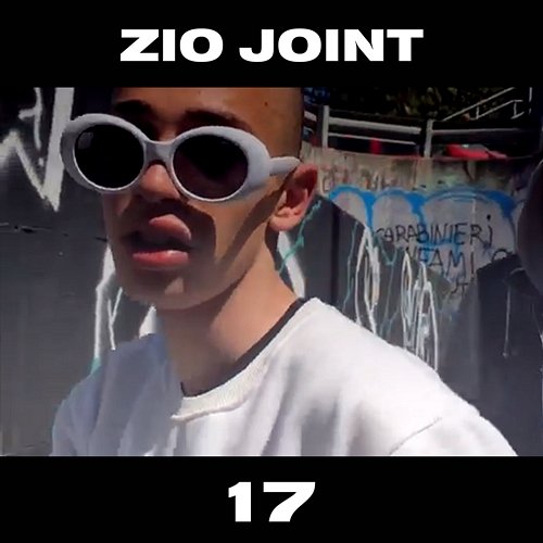 17 Zio Joint