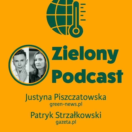 #17 Co nas czeka w 2021 roku? Justyna Piszczatowska, green-news.pl i Patryk Strzałkowski, gazeta.pl - Zielony podcast Rzyman Krzysztof