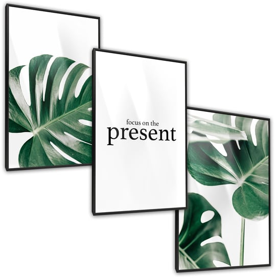 Zestaw 3X Plakat W Ramie Liście Egzotyczne Monstery Natura Napisy 30cm