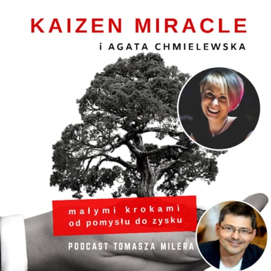 #19 Jak sprzedawać w Internecie? Rozmowa z Agatą Chmielewską. - Kaizen Miracle - małymi krokami od pomysłu do zysku - podcast Miler Tomasz