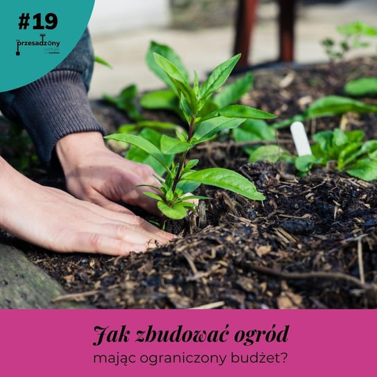 #19 Jak założyć ogród, mając ograniczony budżet? - Przesadzony podcast Kaczmarek Izabela, Wypiorczyk Żaneta