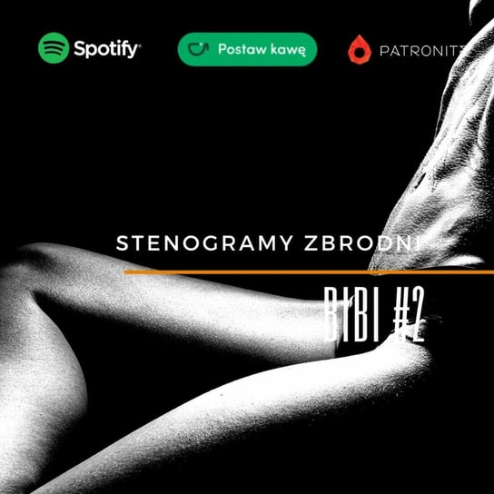 #2 BiBi - Stenogramy zbrodni - podcast Wielg Piotr