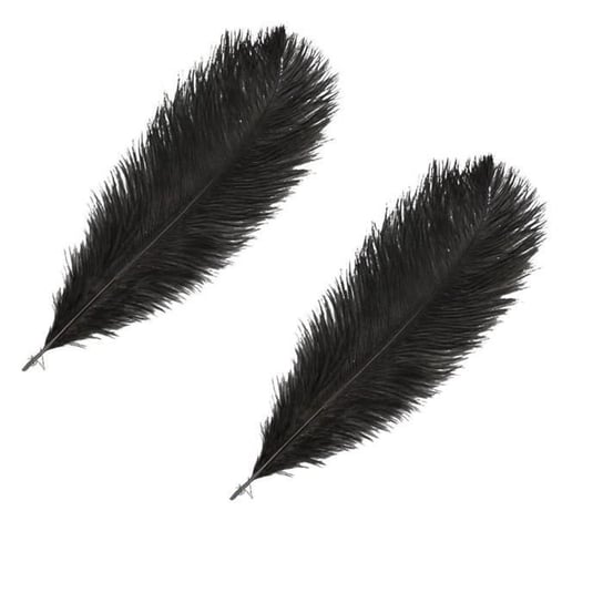 2 czarne strusie pióra Youdoit