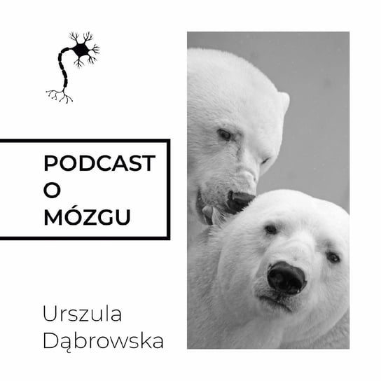 #2 Po co ci mózg? - Podcast o mózgu - podcast Dąbrowska Urszula