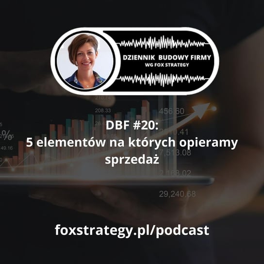 #20 5 elementów, na których opieramy sprzedaż w Fox Strategy [BIZNES] - Dziennik Budowy Firmy - podcast Opracowanie zbiorowe