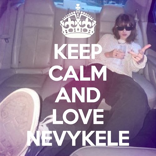 2013 dj nevykele