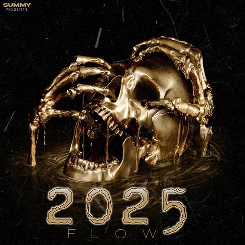 2025 Flow Summy