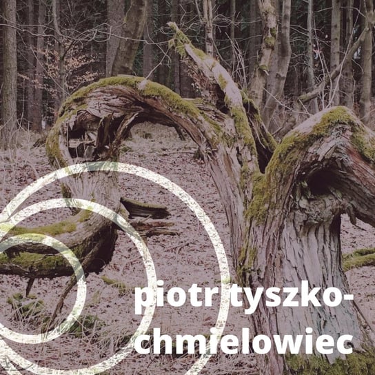 #22 Piotr Tyszko- Chmielowiec: Jak ratować drzewa w mieście? - S02E22 - MUDA Talks - podcast Pięta Anna