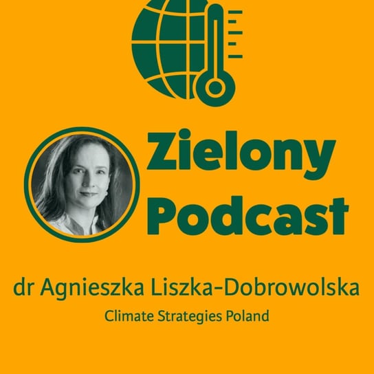 #22 Polskie firmy bez pomysłu (i strategii) na obniżanie emisji. Agnieszka Liszka-Dobrowolska, Climate Strategies Poland - Zielony podcast - podcast Rzyman Krzysztof