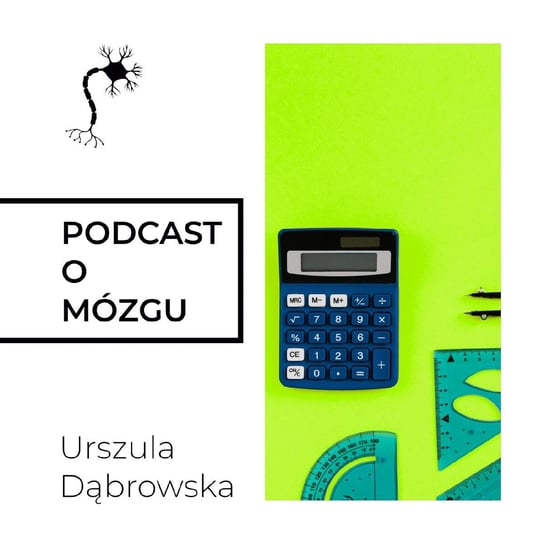 #22 Rachuba Świata - Podcast o mózgu - podcast Dąbrowska Urszula