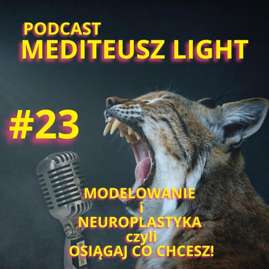 #23 Podcast Mediteusz Light / Osiągaj co chcesz / Neuroplastyka - modelowanie - MEDITEUSZ - podcast Opracowanie zbiorowe