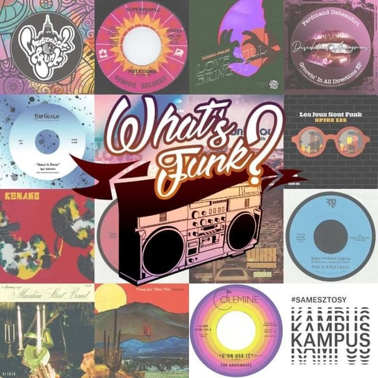 #249 What’s Funk? 19.03.2021 - Heavy In Stereo - What’s Funk? - podcast Radio Kampus, Warszawski Funk