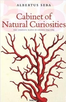 25 Cabinet of Natural Curiosities Opracowanie zbiorowe