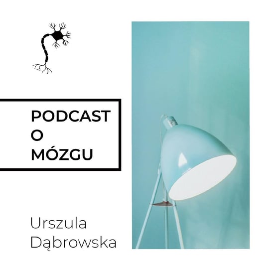 #25 Lepiej się skup - Podcast o mózgu - podcast Dąbrowska Urszula