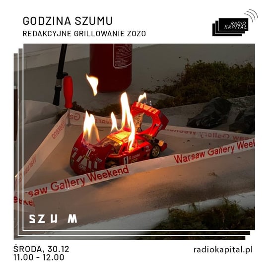 #25 Redakcyjne grillowanie ZOZO - Godzina Szumu - podcast - audiobook Plinta Karolina