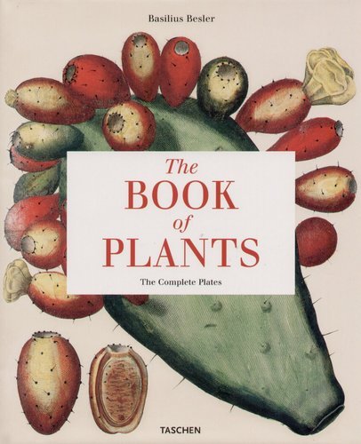 25 The Book of Plants the Comp Besler Basilius