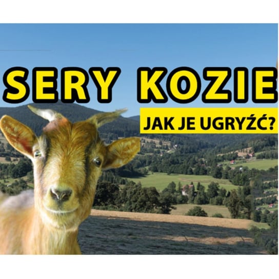 26 ?? Historia dwóch kóz, czyli najlepsze SERY KOZIE w Polsce + testuję lody o smaku sera pleśniowego - Zmacznego - podcast Zmaczyńska Małgosia