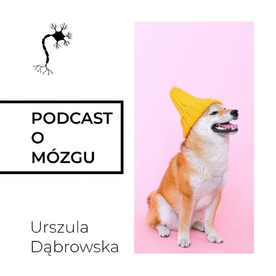 #26 Na serio o żartach - Podcast o mózgu - podcast Dąbrowska Urszula