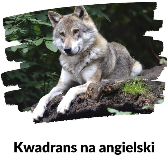 #281 (zwierzęta w lesie) - Kwadrans na angielski - podcast Marciniak Szymon