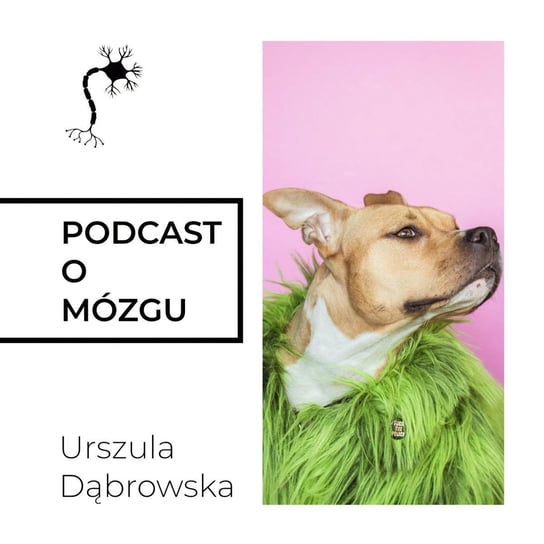 #\29 Udomowienie Człowieka - Podcast o mózgu - podcast Dąbrowska Urszula