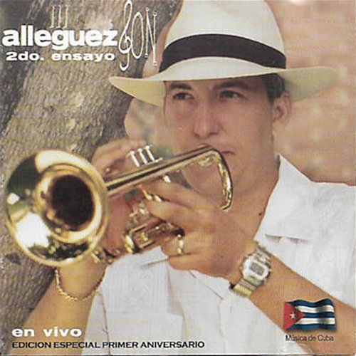 2do Ensayo Alleguez Son