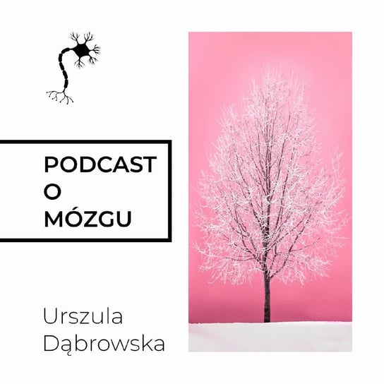 #3 Bezbłędny nerw błędny - Podcast o mózgu - podcast Dąbrowska Urszula